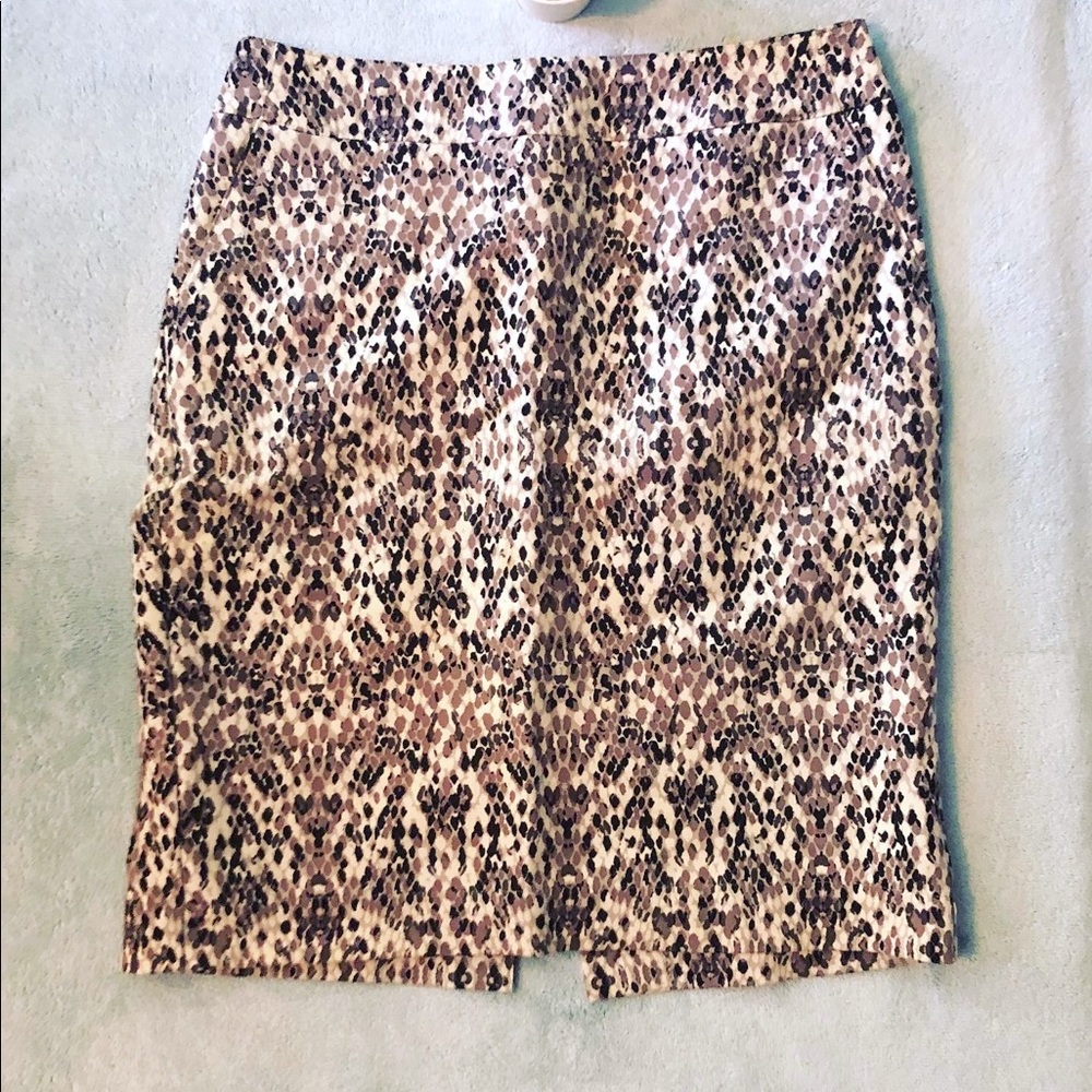 Merona Women’s Skirt